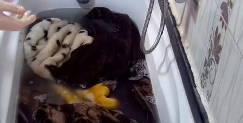 طريقة تنظيف البطاطين